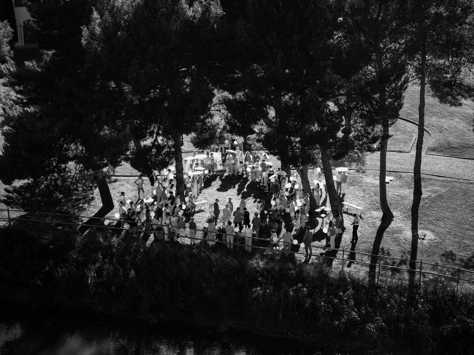 Cerimonia di matrimonio vista dall'alto con drone tra i pini, matrimonio in Toscana